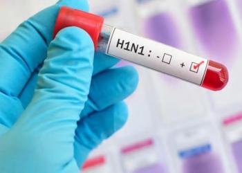 <i></i>  :    H1N1      