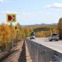 На границе Амурской области и Якутии заасфальтировали 10 километров автодороги «Лена»