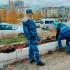 Осужденные посадили 80 саженцев шиповника на улицах г. Якутска