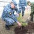 Сотрудники УФСИН совместно с кадетами посадили саженцы деревьев на территории мемориального комплекса павшим в Великой Отечественной войне воинам