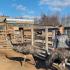 Развитию страусоводства на Дальнем Востоке помогает созданная «на гектарах» ферма из Хабаровского края