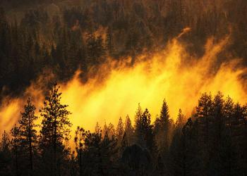 Шесть лесных пожара полыхают в Якутии
