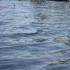 Вездеход с рыбаками утонул в Аллаиховском районе Якутии, трое погибли
